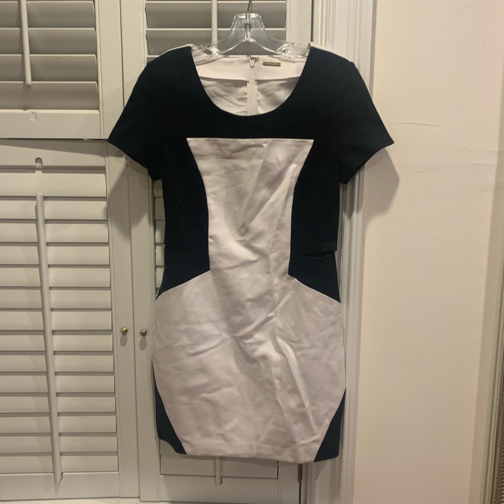 Rebecca Minkoff Mini Dress